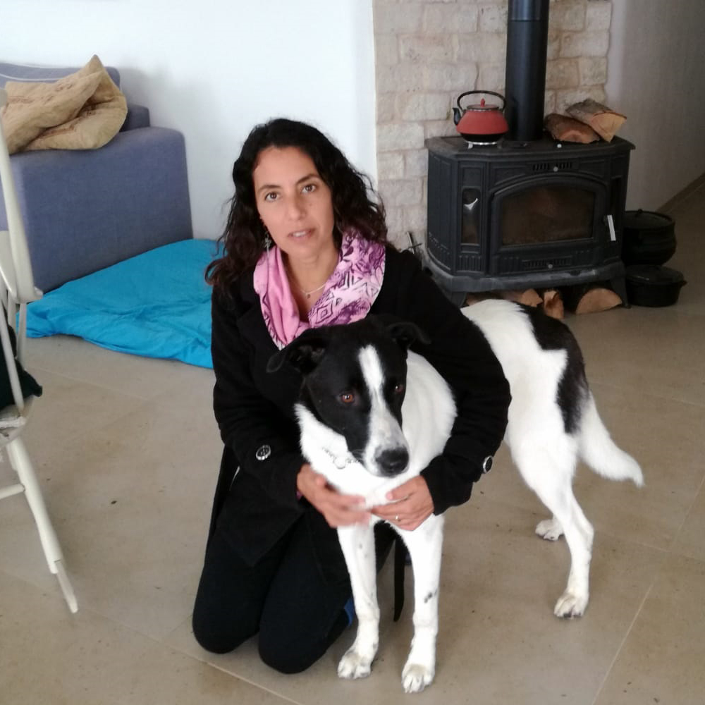 טובי – משפחת עמדי