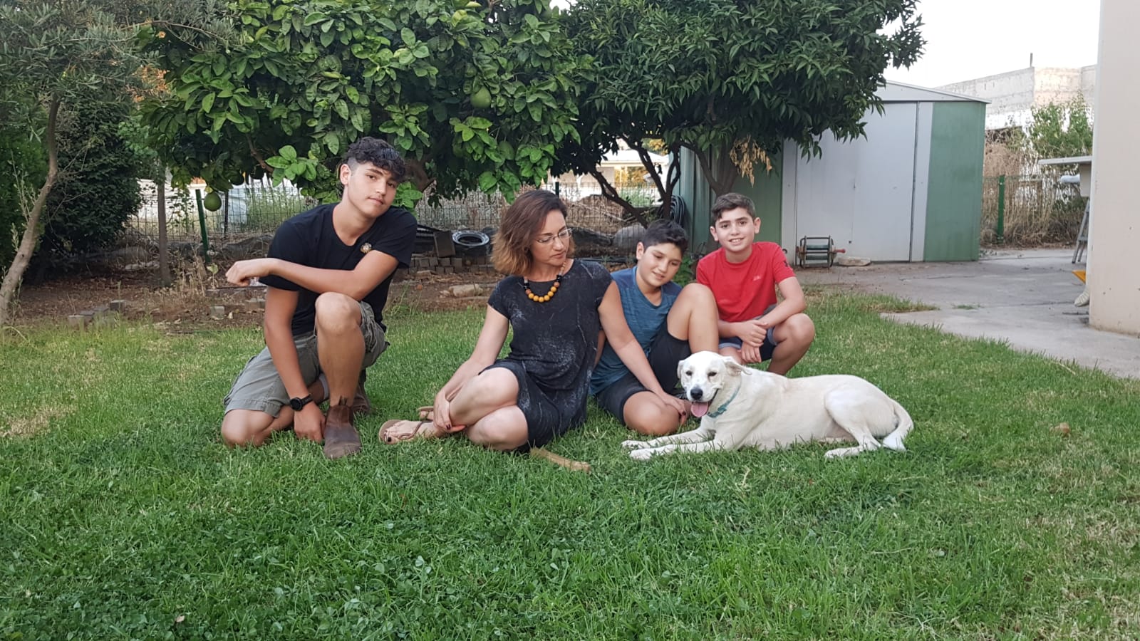 צוף – משפחת ג׳רסי