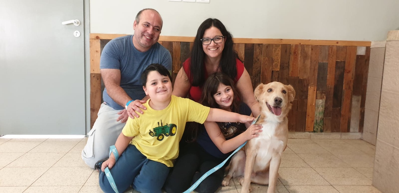 דובי – משפחת רולניק