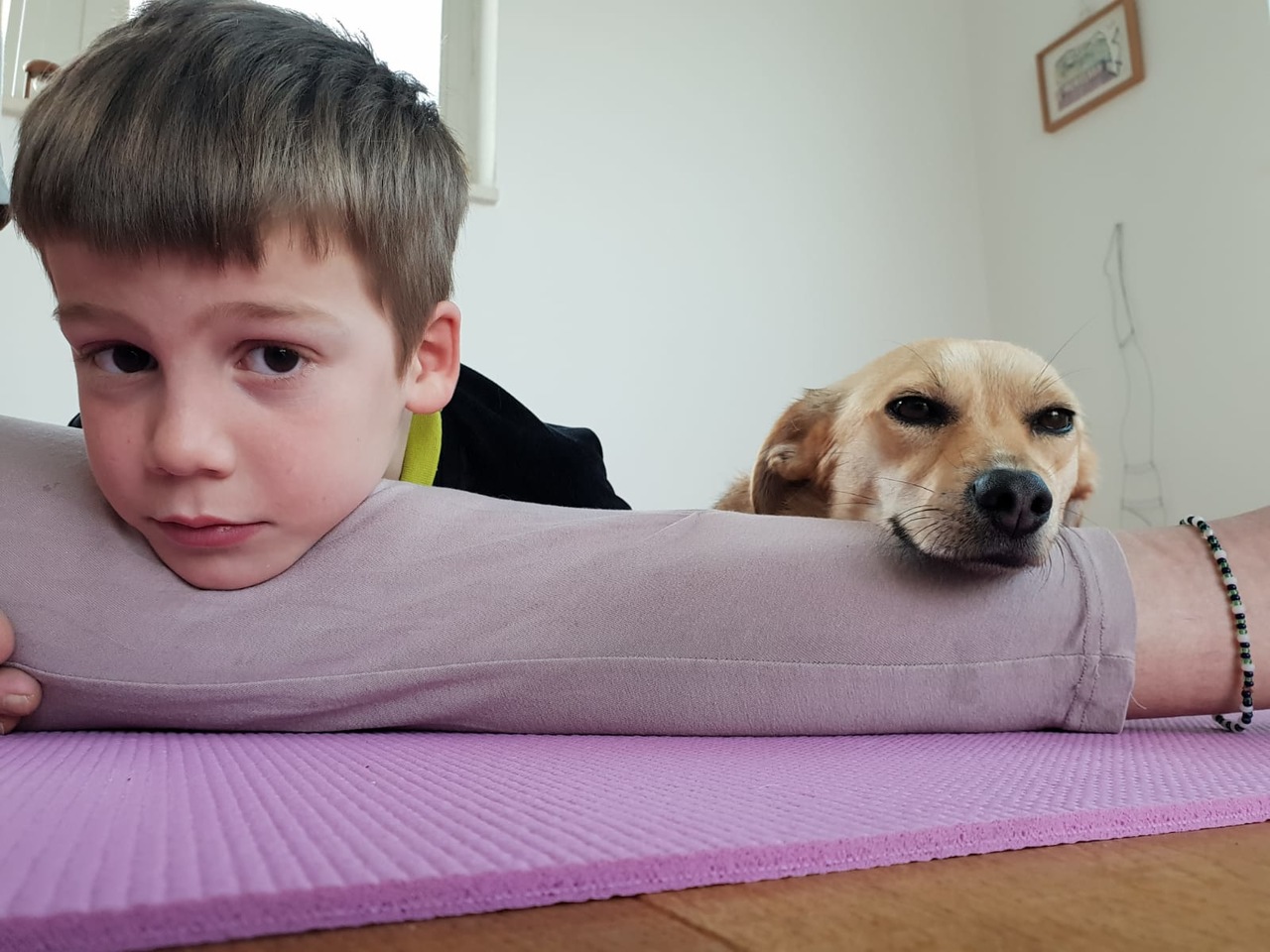 ליזי (לשעבר לילי) – משפחת אשר