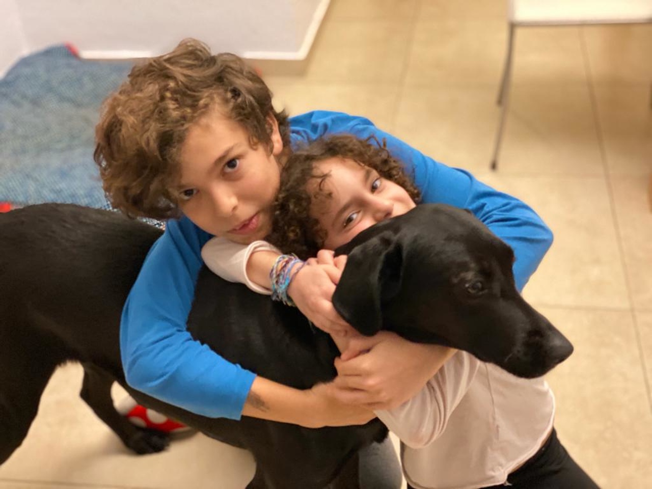 צ׳יקה – משפחת לוין